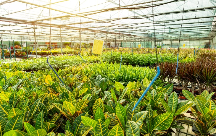 NV Spaces nursery supplies and landscaping materials