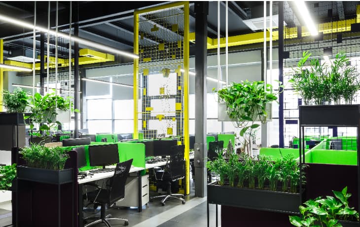 Office landscaping with indoor plants by NV Spaces in Saudi Arabia